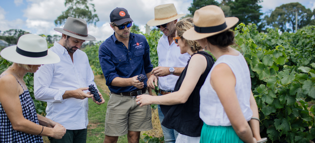 Vineyard tour at Printhie